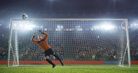 Soccer player on a professional soccer stadium. Stadium and crowd is made in 3D and animated - Powered by Adobe