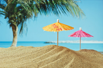 sandy beach on a tropical coast