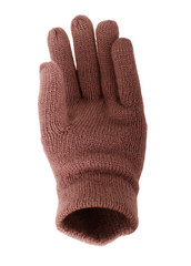 Gloves in brown color over white background