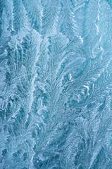 The ice-cold frost forms ice crystals in beautiful unique patterns