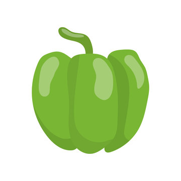 Green pepper vegetable cartoon vector Illustration