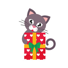 cartoon lovely cat gift vector image