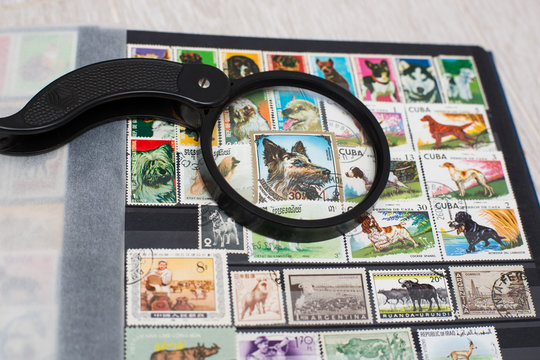 Postage stamps with dogs