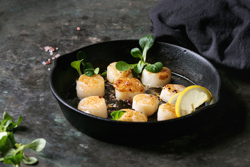 Fried scallops with butter lemon spicy sauce in cast-iron pan served with green salad and textile napkin over old dark metal background.