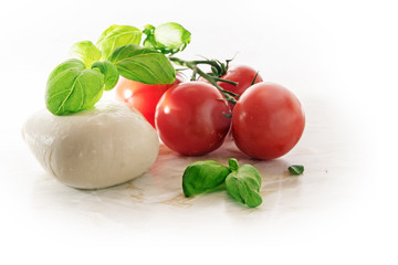 mozzarella, tomatoes and basil herb, Italian caprese, on a light marble plate, corner background fades to white, copy space