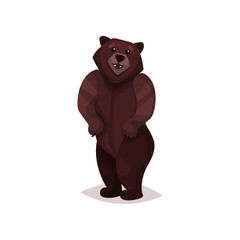 Brown grizzly bear cartoon vector Illustration