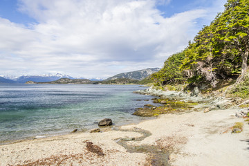 Forest and beagle channel in Tierra del Fuego National Park