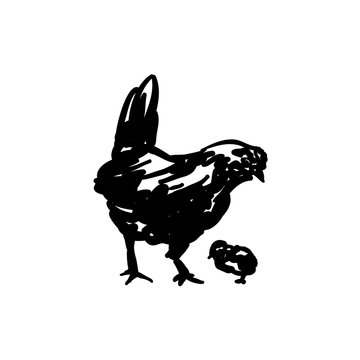 Chicken and Chick Hand Drawn