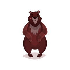 Brown bear cartoon vector Illustration