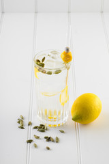 fancy gin and tonic selection drink alcohol cocktail craft fresh fruit spices mint glass bar 