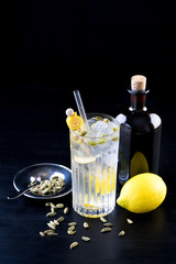 fancy gin and tonic selection drink alcohol cocktail craft fresh fruit spices mint glass bar 