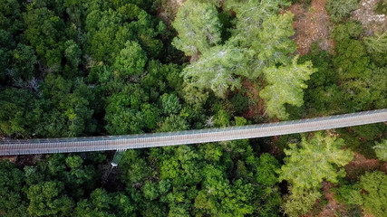 Suspension bridge surrounded by lush green forest - Top down aerial view