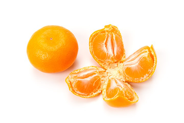 ミカン   © Caito