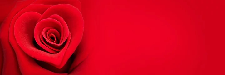 Rote Rose in Form eines Herzens, Valentinstag-Panorama-Webbanner und Header, Liebessymbol und -konzept © Delphotostock