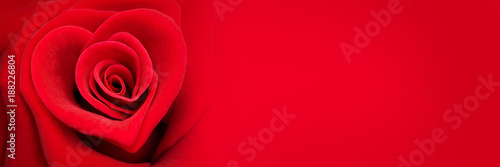 Red rose in the shape of a heart, valentines day panoramic web banner, love symbol