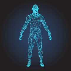 Low poly wireframe Human Body. Abstract Illustration