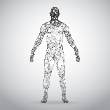 Abstract Wire frame human body. Polygonal 3d model on white background