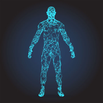 Low poly wireframe Human Body. Abstract Illustration