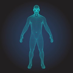 3D wireframe human body