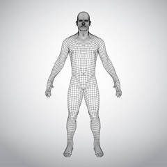 Wire frame human body. Polygonal 3d model on white background