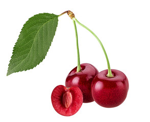 Sweet cherry berry. Two on a branch. One cut in half with bone.