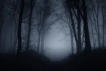 Rolgordijnen donkere enge bosweg op mistige nacht © andreiuc88