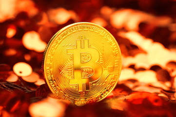 Fingers holding golden bitcoin BTC coin in autumn leaves outdoors, macro closeup.