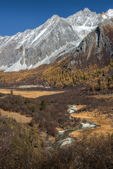 Mountain range and snow peak with pine forest and tourist shelter in autumn season in clear blue sky day at Yading National Park,  Daocheng, Sichuan, China