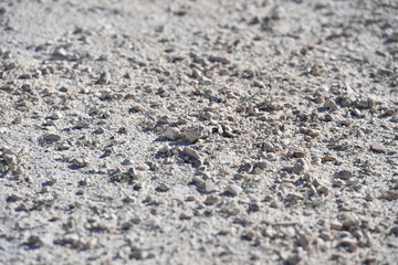 Heap of stones 