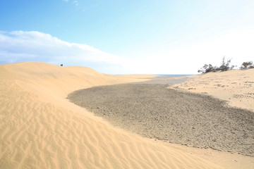 Fototapeta na wymiar Sand dunes on the Atlantic coast in Maspalomas, Gran Canaria, Canary Islands, Spain