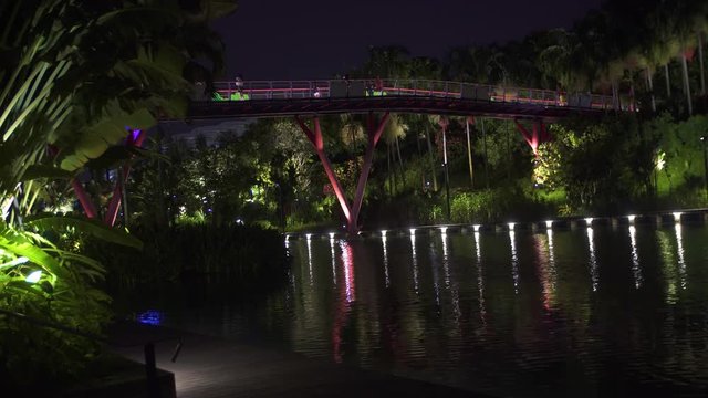 Singapore, night city views, beautiful gardens