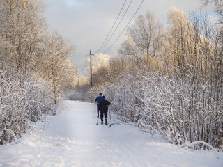 Winter Sunny forest. An elderly couple of pensioners to ski.