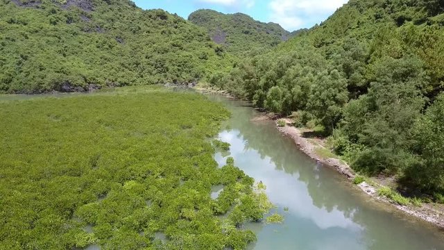 Flycam Moves over Wonderful Uncial Natural Zone