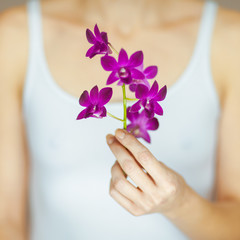 Obraz na płótnie Canvas woman hands holding some violet orchid flowers, sensual studio shot