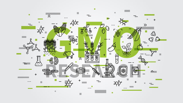 GMO research vector illustration with colorful elements. Genetically modified organism (GMO) line art concept.