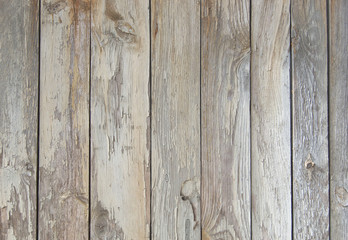 old wooden fence. wood palisade background. planks texture