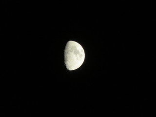 Luna © Massimo