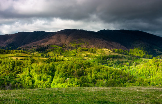 forested mountain slopes in springtime. lovely countryside landscape of Carpathian mountainous rural area under the cloudy sky