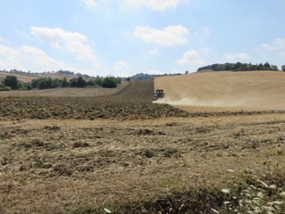 Paesaggio