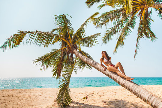 Young woman in swimwear  relaxing on the beach palm.  Tropical vacation and beach holidays concept. Color toned.