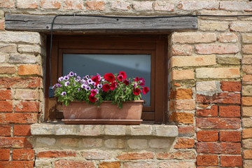 Fototapeta na wymiar A shuttered window of a historic building with flowers on the windowsill.
