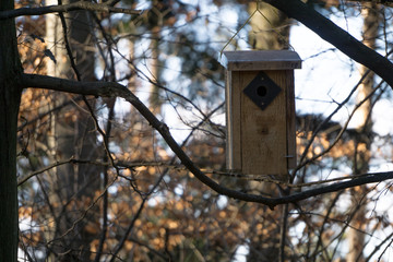 Birdhouse in the forest in autumn