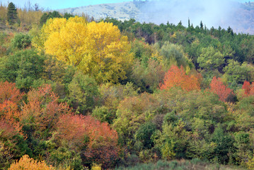 Natura autunnale