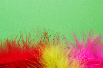 Colored feathers on a green background. Poster for carnival and holidays.Selective focus.
