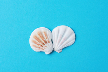 Flat Round Striped Seashells on Vibrant Blue Background. Minimalist Modern Styled Image. Funky Trendy Colors. Template for Poster Menu Placeholder Banner Beach Party Invitation Wellness Spa