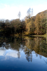 Lakeside reflections