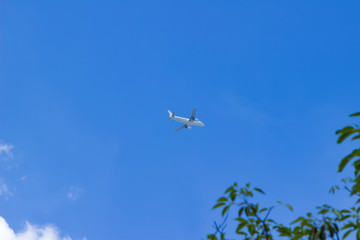 The plane is flying in the sky