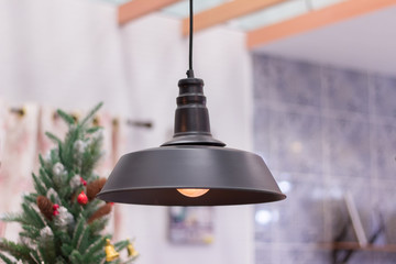 Ceiling light,hanging round light bulb,light bulb interior