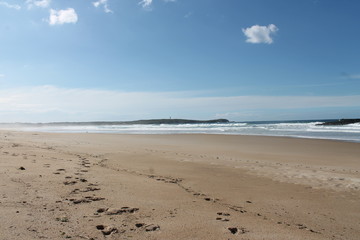 Fototapeta premium UN DÍA EN LA PLAYA