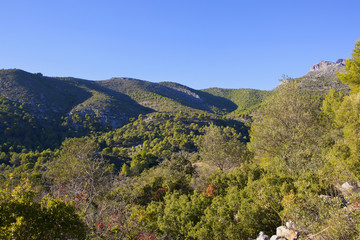 andalusian mountain forest scenery